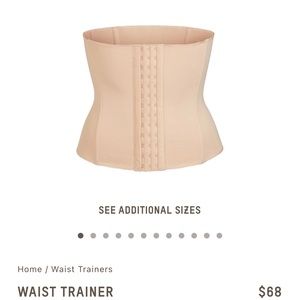SKIMS Waist Trainer - Small - NWOT - Never Worn! Clay